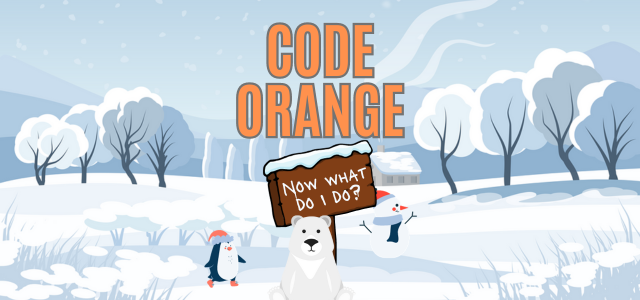 A cartoon snow-covered outdoor scene with a polar bear, penguin and snowman playing in the snow. The words read "Code Orange  Now what do I do?"